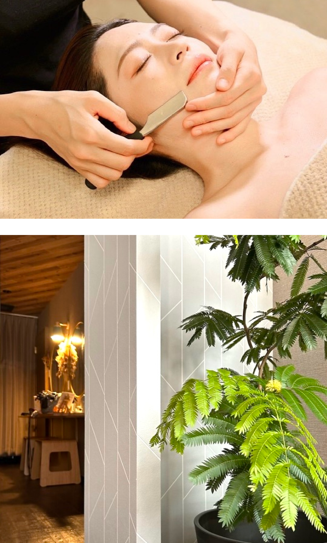 About Salon